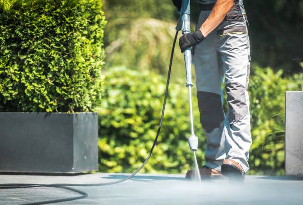 Best Sidewalk and Walkway Cleaning  in Gerdine, AL