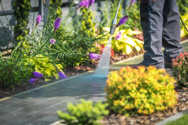 Best Animal Enclosure Cleaning  in Gerdine, AL
